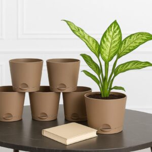 Maxx Plast 5 Inch Self Watering Pots | Set of 5 Decorative Plastic Planters for Indoor & Outdoor Plants | Durable, Lightweight & Colorful Flower Pots