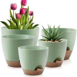 INKULTURE Flower Pot for Indoor Plants – Self Watering Plant Pot Set of 5, Multi Size Plastic Planter with Drainage Hole & Watering Lip (7/6.5/6/5.5/5 Inch) Green | Pots for Home, Office & Succulents Visit the INKULTURE Store